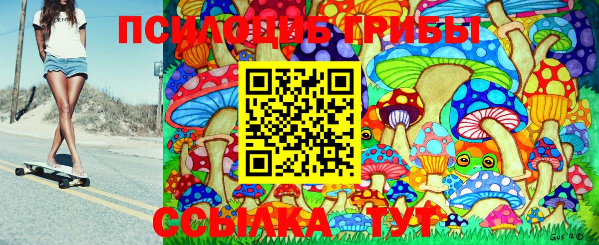 Галлюциногенные грибы Cubensis  Вход с VPN  Уссурийск 